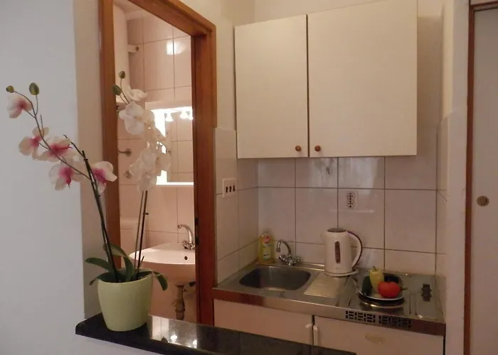 Διαμέρισμα Selak, *